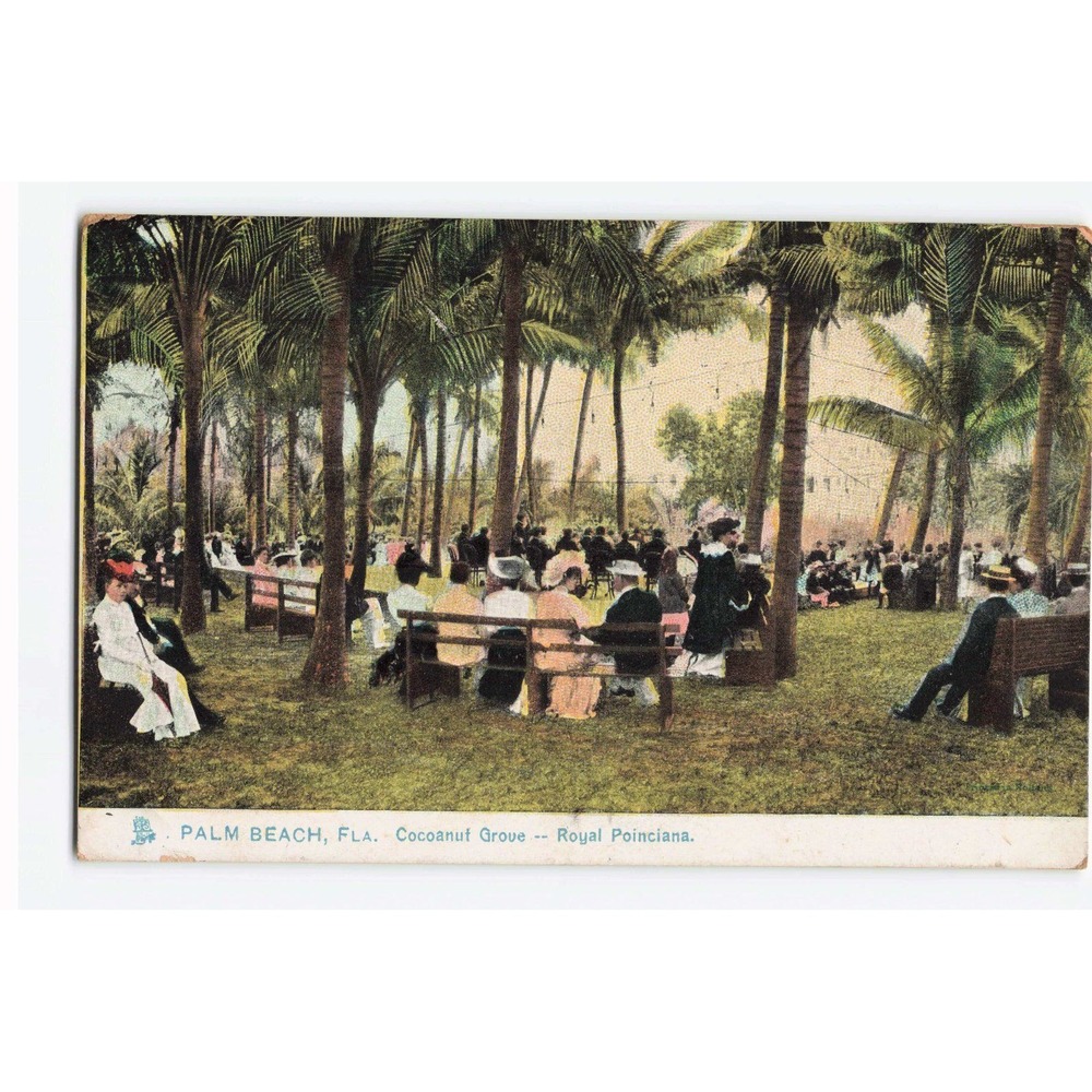 1908 Palm Beach Florida Cocoanut Grove Royal Poinciana Postcard Tuck Sons